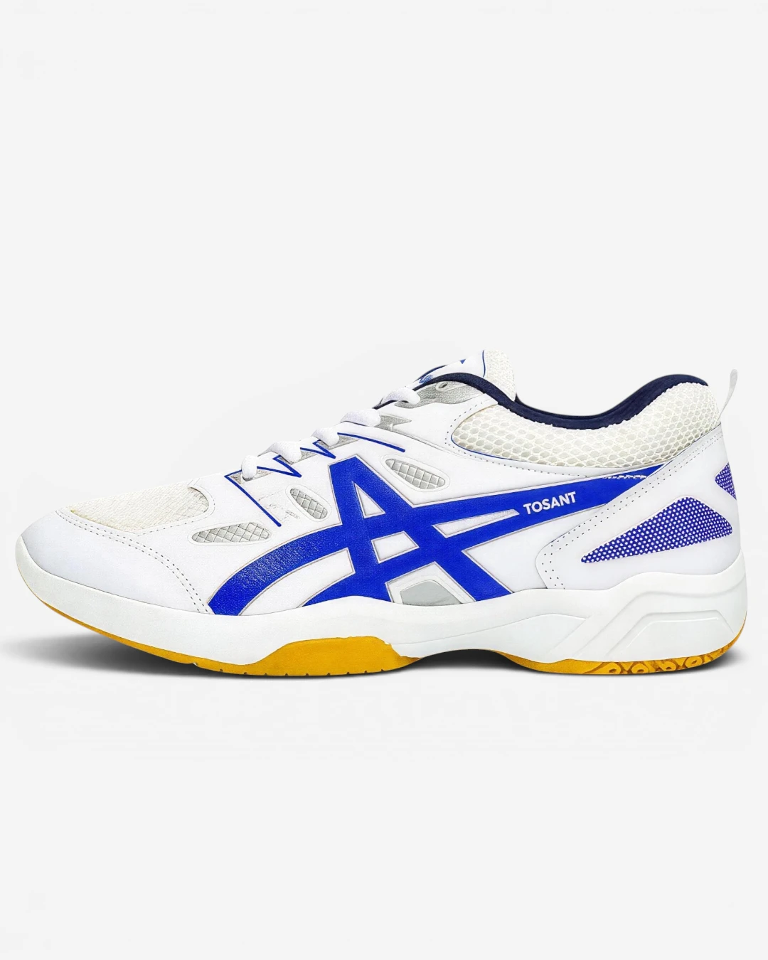 sepatu badminton sbr